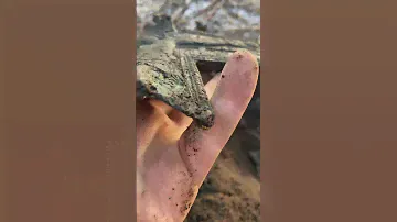 ЭТО ЛЕЖАЛО ПОД ЖЕЛЕЗОМ